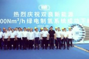 苏州双良新能源有限公司怎么样_双良新能源做什么的