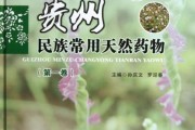 民族药前景怎么样_民族药投资潜力大吗