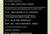 外贸独立站怎么做推广_如何获取精准询盘