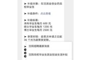 沈阳互联网政策扶持有哪些_如何申请沈阳互联网补贴