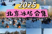 冰场投资赚钱吗_冰场前景怎么样