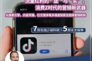 互联网平台市场分析_如何抓住流量红利