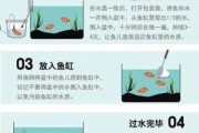 新手养什么观赏鱼好养_水族箱开缸步骤
