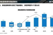 汽车行业社会环境分析_新能源汽车政策影响