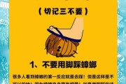 家里发现蟑螂怎么办_灭蟑螂最有效的方法