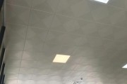 铝扣板前景怎么样_铝扣板行业未来趋势