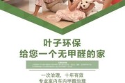 叶子环保除甲醛靠谱吗_叶子环保价格贵不贵