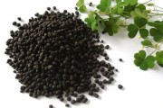 生物炭前景怎么样_生物炭能赚钱吗