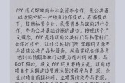 ppp项目盈利模式有哪些_2024年ppp行业前景如何
