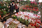 花卉行业前景怎么样_2024年开花店还能赚钱吗