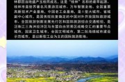 桂林发展前景怎么样_桂林适合投资哪些行业