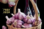大蒜种植前景怎么样_2024年种大蒜赚钱吗