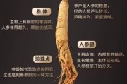 人参价格多少钱一斤_如何挑选优质人参