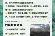 竹炭真的有用吗_竹炭和活性炭的区别