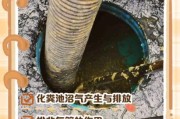 沼气发展前景如何_沼气有哪些用途