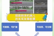前景软体是什么_前景软体怎么样