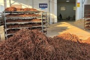 丹参市场前景如何_丹参种植赚钱吗