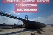 拆船行业前景怎么样_拆船厂盈利模式有哪些