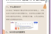 2024全球网站流量下滑怎么办_移动端SEO优化怎么做