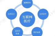 互联网医疗盈利模式有哪些_互联网医疗行业研究报告