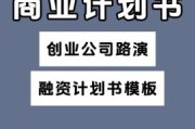 互联网融资商业计划书怎么写_融资路演PPT模板下载