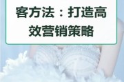 设备销售行业怎么做SEO_如何精准获客