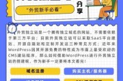 如何优化外贸独立站_外贸独立站SEO怎么做