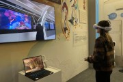 互联网博物馆是什么_如何参观线上展览
