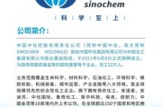 中国中能产业有限公司怎么样_中国中能产业有限公司是做什么的