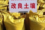 有机肥市场前景怎么样_有机肥生意好做吗