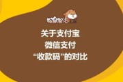 互联网支付平台有哪些_支付宝微信支付区别