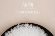 种龙脑前景怎么样_种龙脑赚钱吗