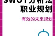 包包行业SWOT分析_如何抓住2024市场机遇