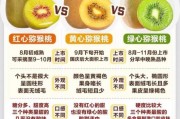 猕猴桃怎么挑选_猕猴桃什么时候成熟