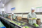 食品加工行业前景如何_食品加工厂怎么开