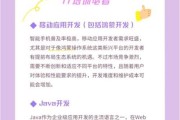 it行业前景怎么样_2024程序员转行方向