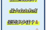 宠物店加盟多少钱_新手开宠物店需要准备什么