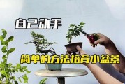 盆栽行业未来五年赚钱吗_新手如何入门盆栽创业