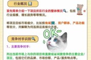 互联网行业竞争的对策_如何提升网站SEO排名