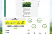 中国茶产业互联网创新_如何打造数字化茶园