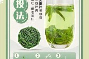 绿茶哪个牌子好喝_绿茶怎么泡才正确