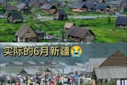 新疆互联网发展现状_新疆网络创业机会在哪里