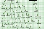 摄影行业未来趋势_如何成为专业摄影师