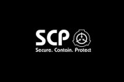 scp行业前景怎么样_scp行业分析报告