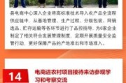 农村电商怎么做_农村创业做什么项目好