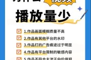 视频SEO怎么做_如何提升视频排名
