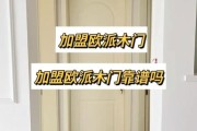 木门行业发展前景如何_木门加盟还能赚钱吗