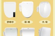 智能马桶盖值得买吗_智能马桶盖哪个品牌好