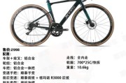 自行车品牌排行榜前十名_如何选购公路车