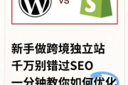 2024年外贸独立站怎么推广_独立站SEO优化技巧